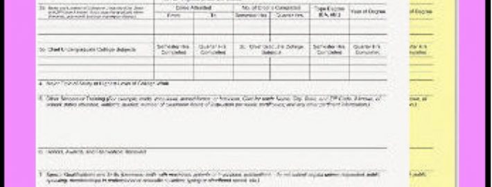 Two-part 8.5x11 employment application form