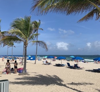 Sunny beach with palm trees and umbrellas
