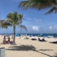 Sunny beach with palm trees and umbrellas