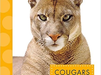 Close-up portrait of a cougar on book cover