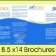 Blue and yellow Just Peace brochure layout