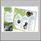 Blackberry Farm brochure with nature imagery