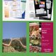 Printed brochure and flyer samples collage