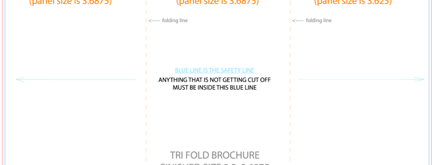 Tri-fold brochure template showing panel and cut lines