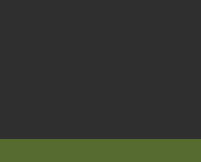 Dark gray background with thin green stripe