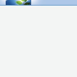 Law office letterhead with leaves and sky