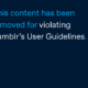 Tumblr content removed for violating guidelines